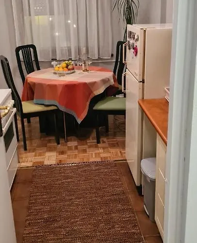 Grey Novi 베오그라드